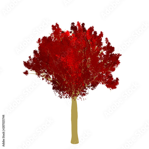 Red maple tree 2D rendering graphic picture isolated on white background. For decorating the garden and forest.