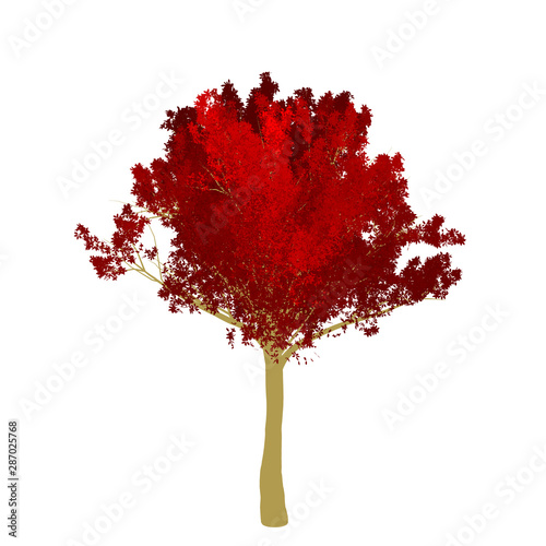 Red maple tree 2D rendering graphic picture isolated on white background. For decorating the garden and forest.