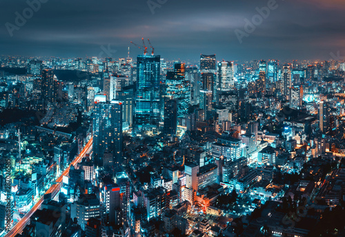 Fototapeta Naklejka Na Ścianę i Meble -  Tokyo city