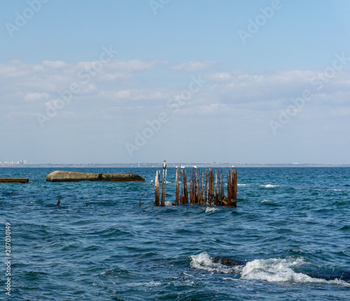 sea wiev with pier, seagulls and cormorant