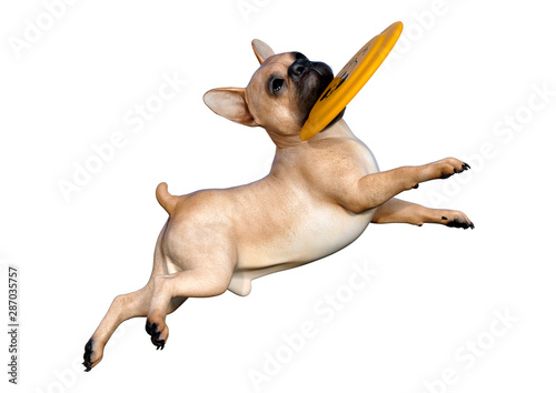 3D Rendering French Bulldog on White