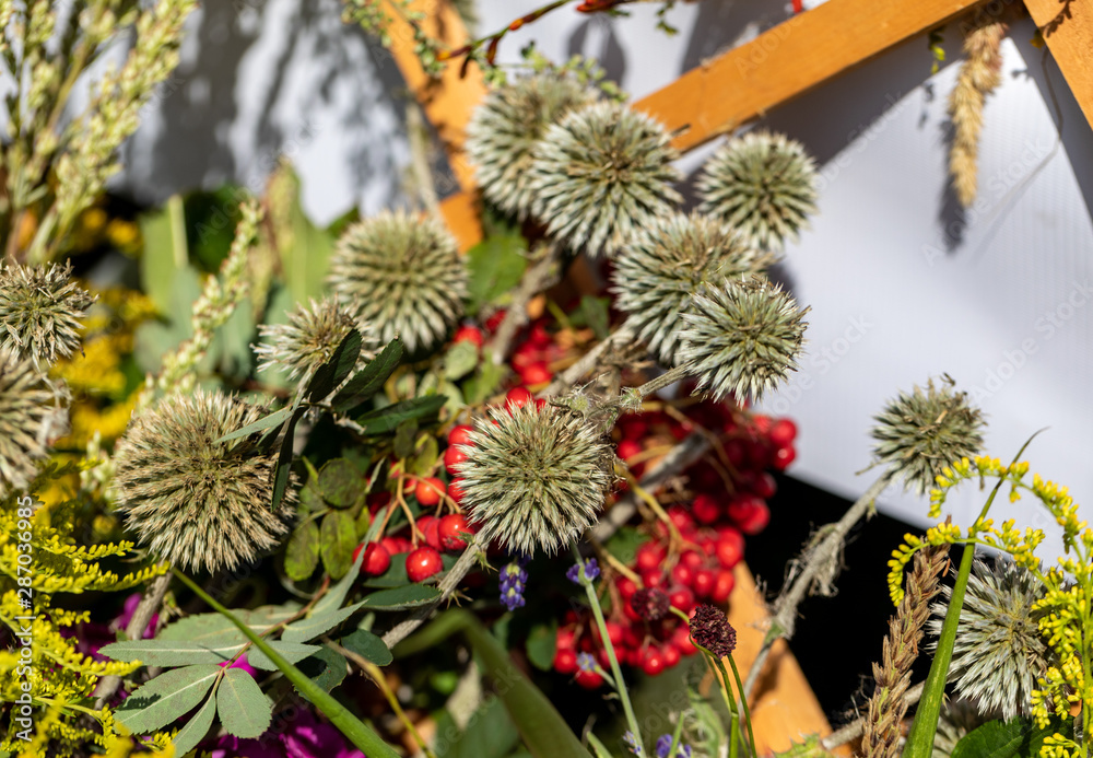 Floristic bouquet of flowers, herbs and fruits that are the symbol of summer Floristic bouquet of flowers, herbs and fruits that are the symbol of summer