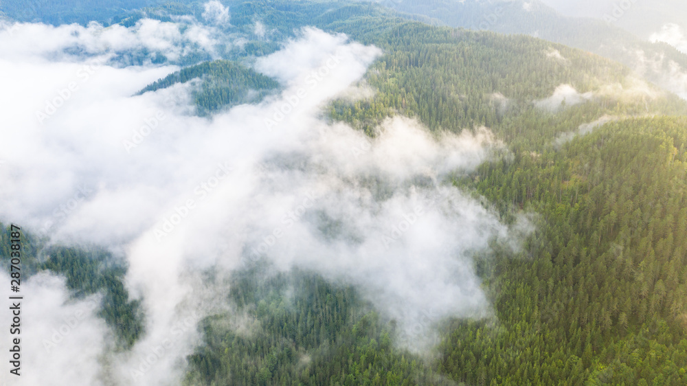 Aerial view of tropical rainforest covered by cloud and fog.