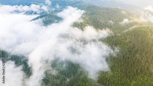 Aerial view of tropical rainforest covered by cloud and fog.