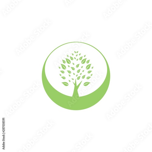 Tree leaf vector logo design  eco-friendly concept