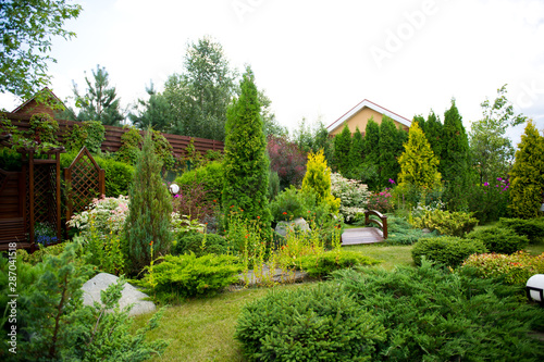 Wallpaper Mural private garden with a wide variety of vegetation planted close together Torontodigital.ca