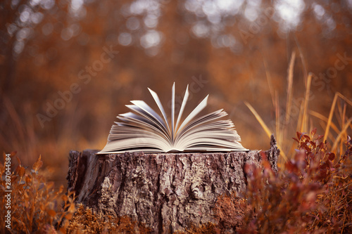 An open book lies on a stump in the autumn forest. Autumn leafing through pages photo