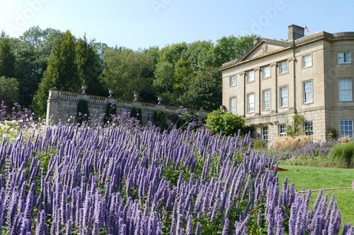 Lavender Garden at Claverton Manor American Museum