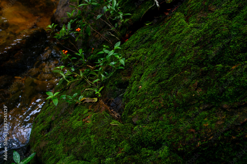 Natural waterfall, shoulder river, through the top of the mountain Natural waterfall, shoulder river, through the top of the mountain