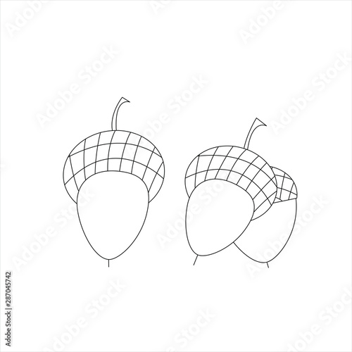 Coloring Pages. Coloring book. Acorn. Colouring pictures. Vector illustration.