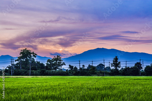 sunset over green field