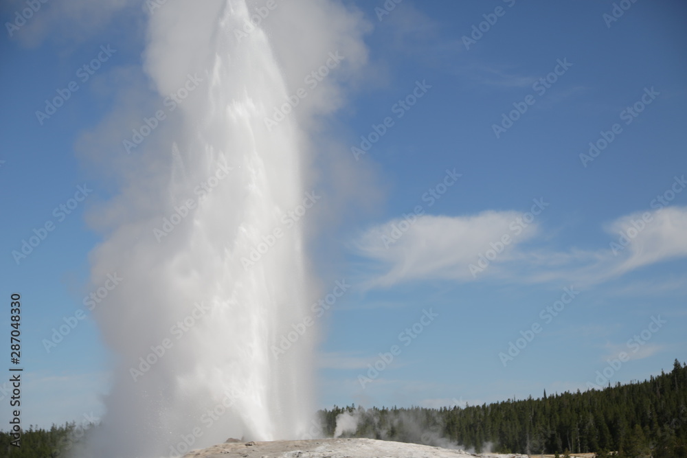  yellowstone national park the nature