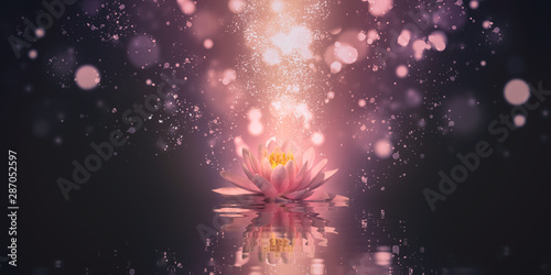 meditation abstract background with lotus flowers