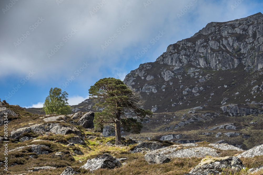 Die nördlichen Highlands von Schottland Die nördlichen Highlands von Schottland