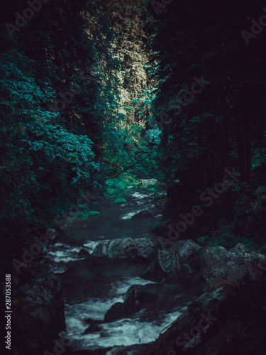 rushing stream in the mountains