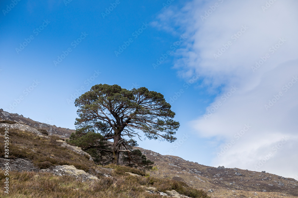 Die nördlichen Highlands von Schottland