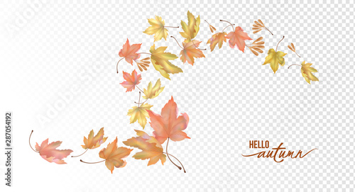 Flying Autumn Leaves