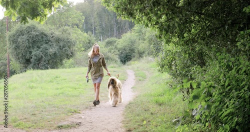 Woman walks her Afghan hound on a path through the woods photo
