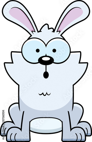 Surprised Little Rabbit