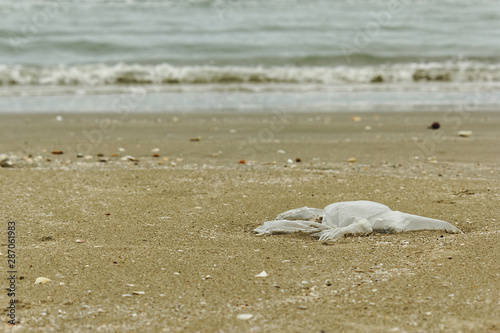 Junk on the beach.Plastic bag on sand