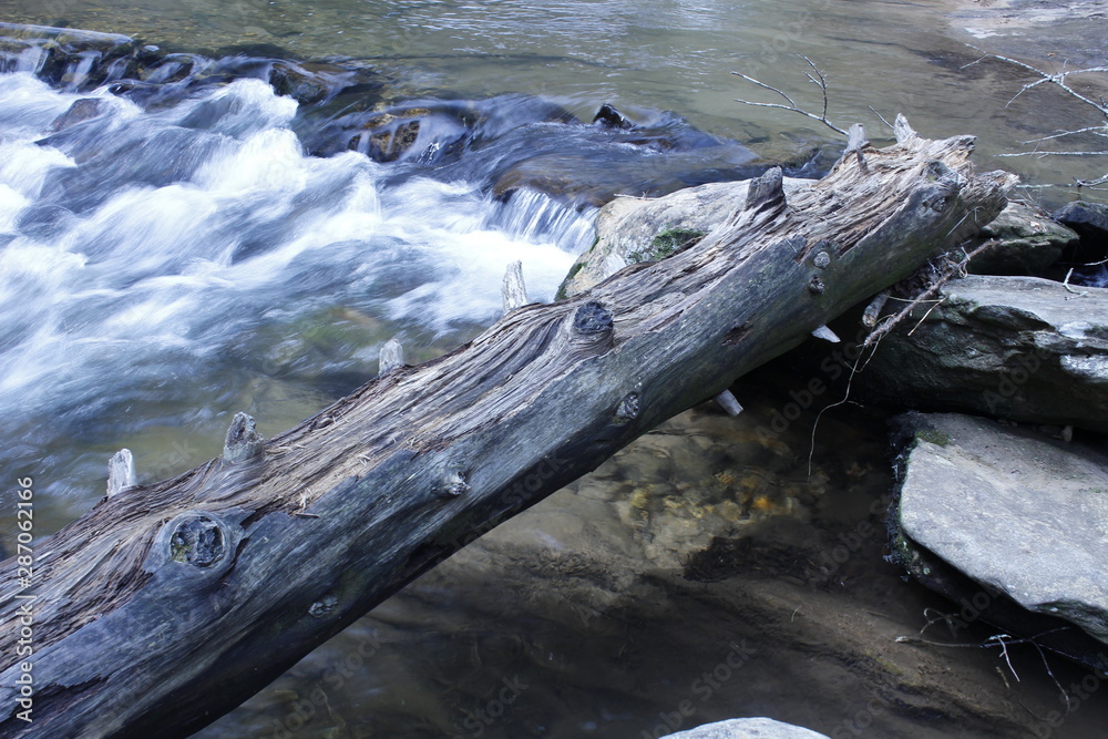 Fototapeta premium water log