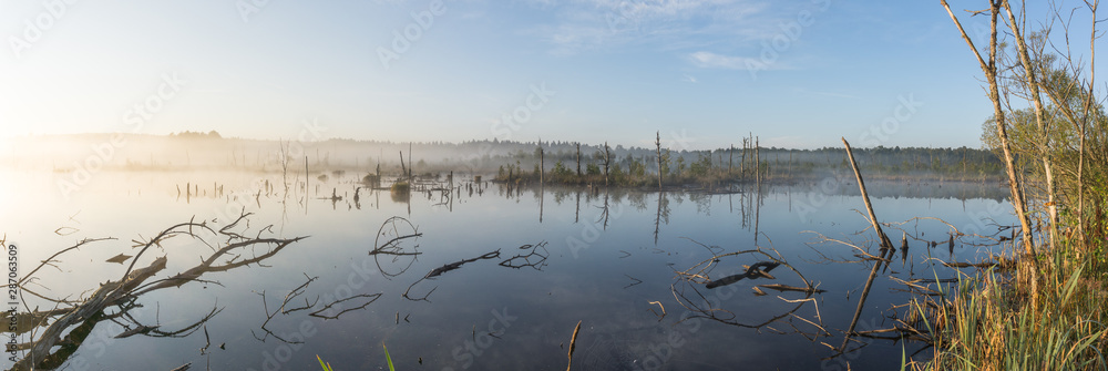 große Panorama Landschaft an einem Moos See mit Nebel im Morgengrauen im Frühherbst