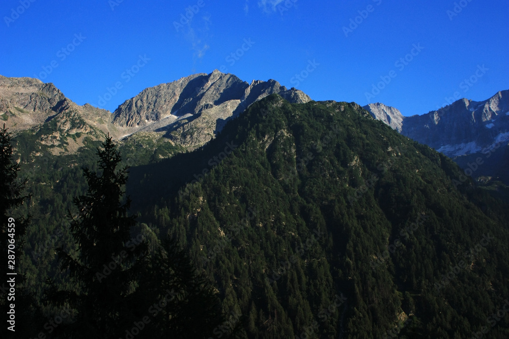 View of the Dolomites, forested