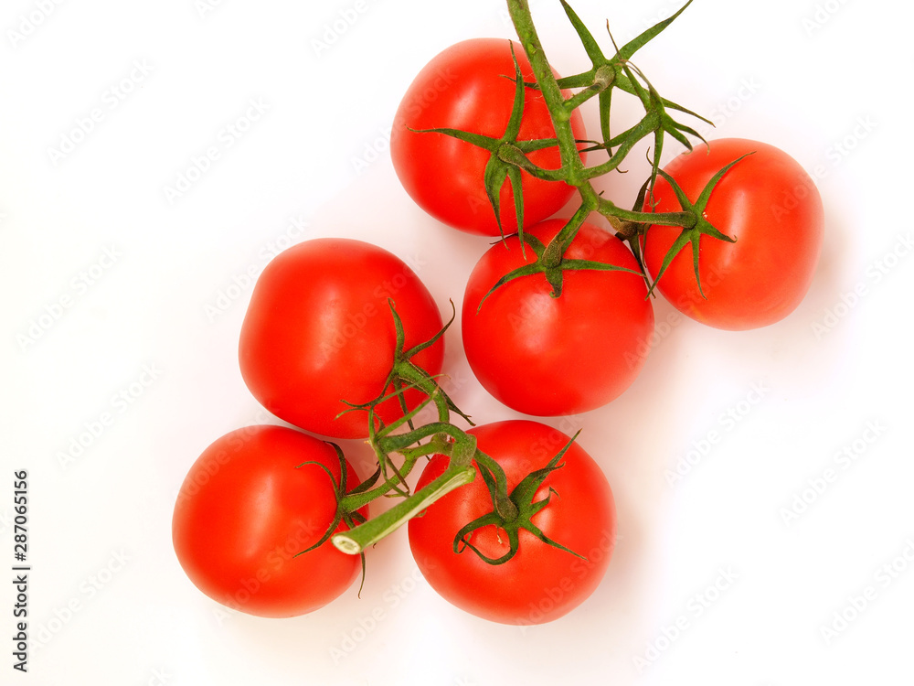 Red tomatoes on a branch on a white background