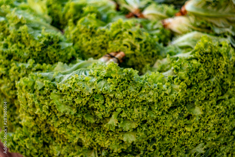 Lettuce Lettuce