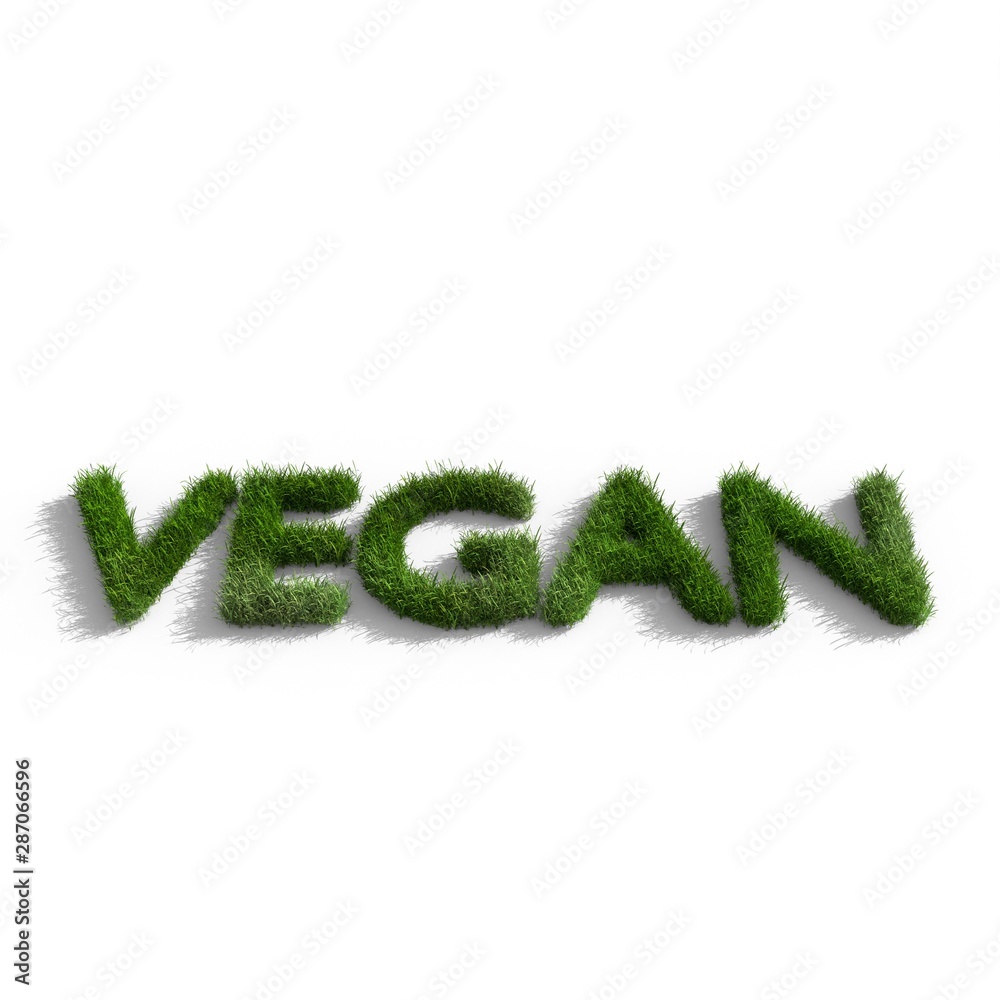 Vegan. word made of green grass isolated on white Vegan. word made of green grass isolated on white