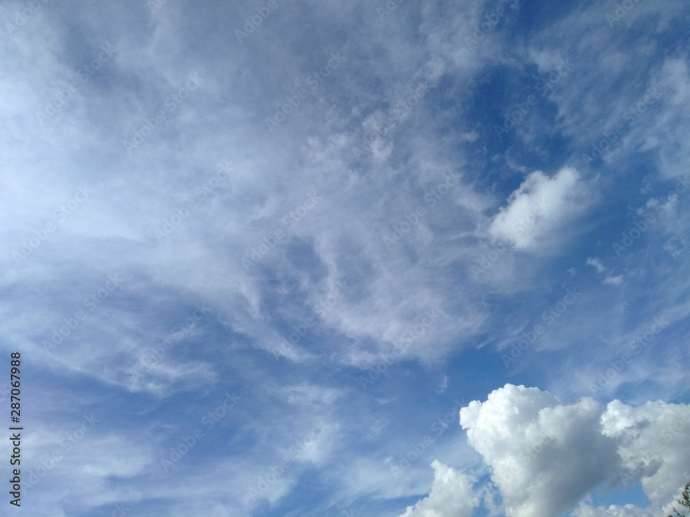 Obraz premium clouds sky summer morning freedom flight blue nature nature