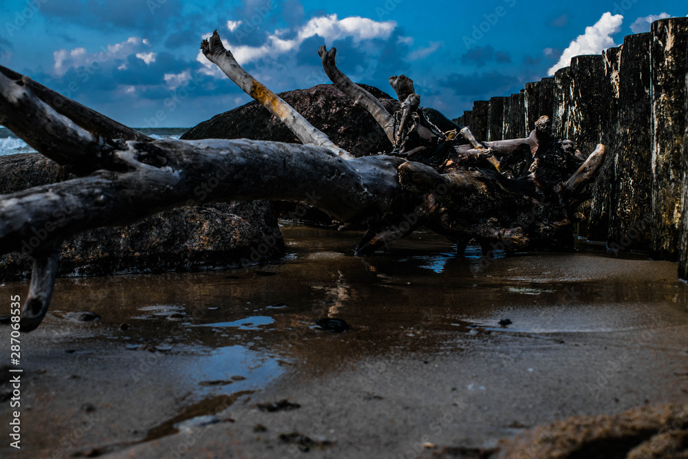 snag on the beach