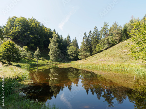 Schönau im Schwarzwald - Folgen dem Philosophenweg bis wir nach wenigen Gehminuten den Letzbergweiher erreichen photo