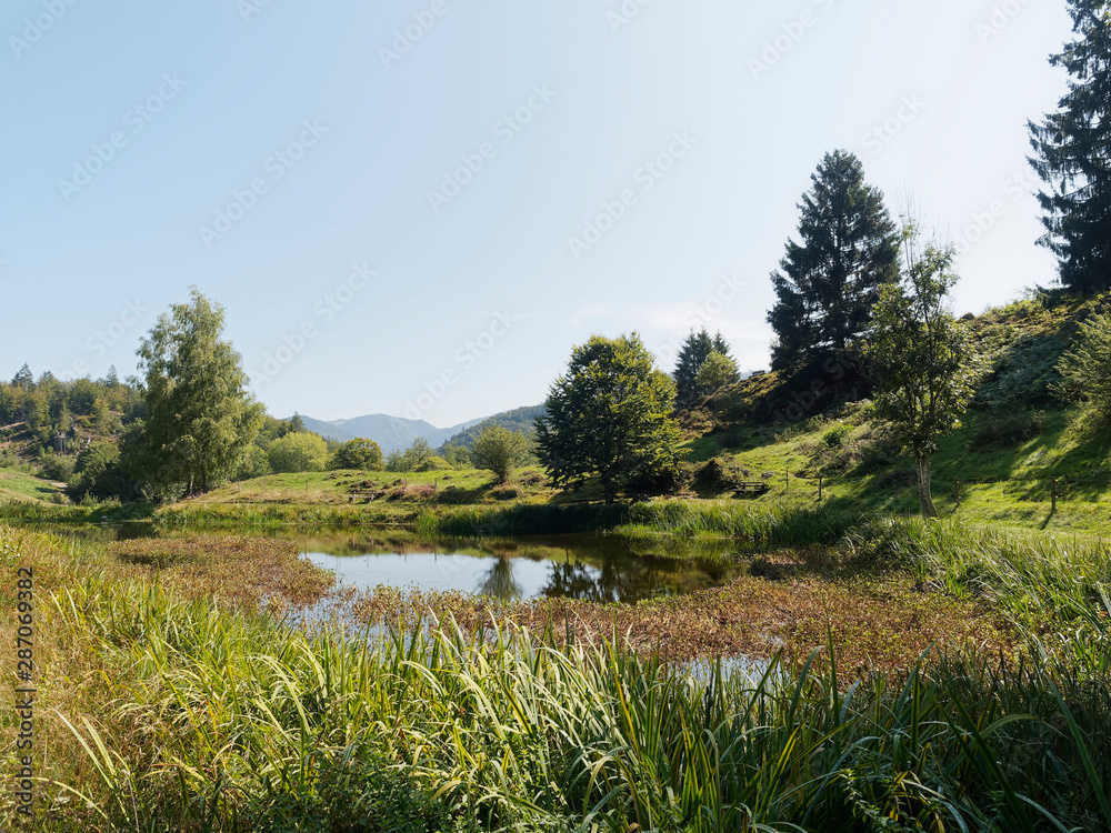 Foto de Schwarzwaldlandschaft Schönau im Schwarzwald Rundwanderung