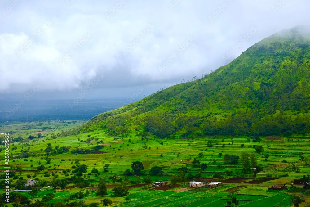 Obraz premium green landscape