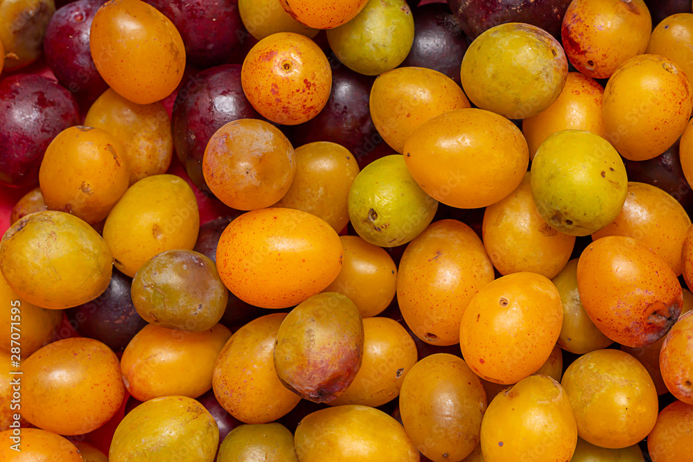 Fresh plums, healthy and organic fruit. Fresh plums, healthy and organic fruit.