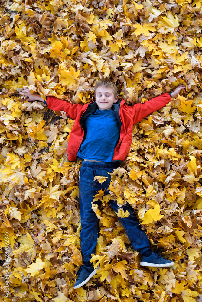 Smiling boy lies in yellow autumn leaves. Top view. Autumn concept Smiling boy lies in yellow autumn leaves. Top view. Autumn concept