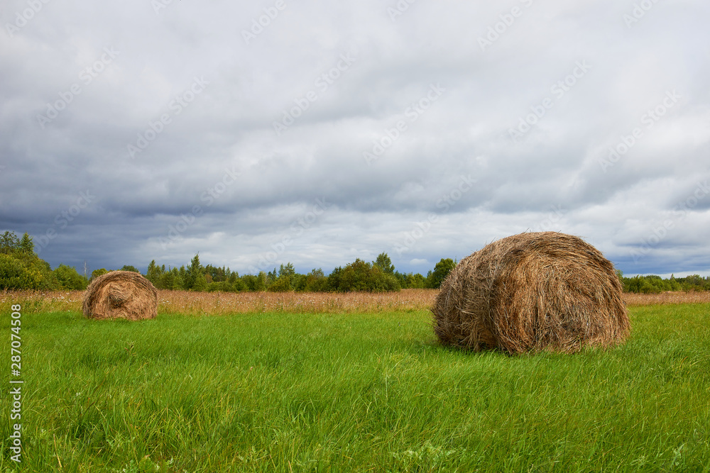 Hay bales in a field with sky and fluffy clouds Hay bales in a field with sky and fluffy clouds