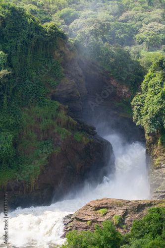 Powerful Murchison Falls are beautifully embedded in nature but threatened by a Chinese dam project  Murchinson Falls National Park  Uganda  Africa.