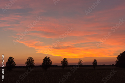 Sunset at Nature Reserve in Schulzendorf  Brandenburg  Germany