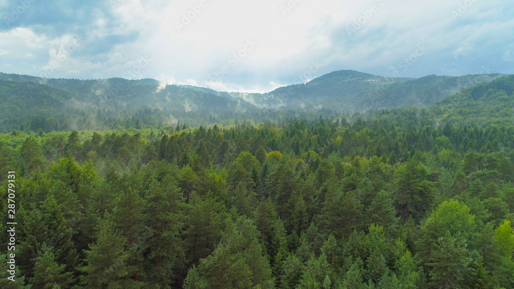 AERIAL: Creepy fog and mist wrapping green pine forest in early autumn morning AERIAL: Creepy fog and mist wrapping green pine forest in early autumn morning
