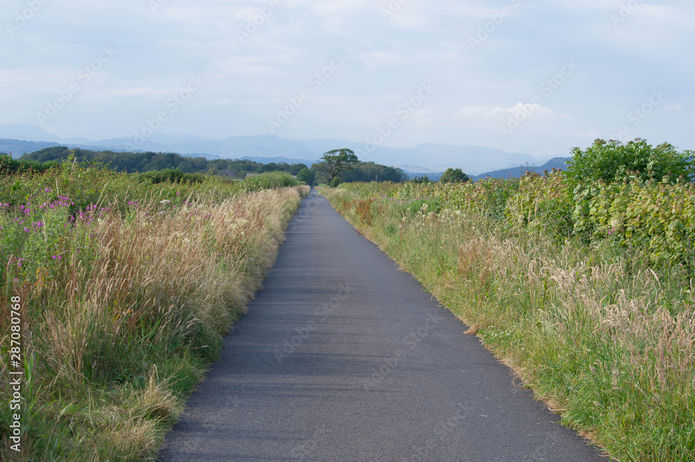 Fototapeta premium lane