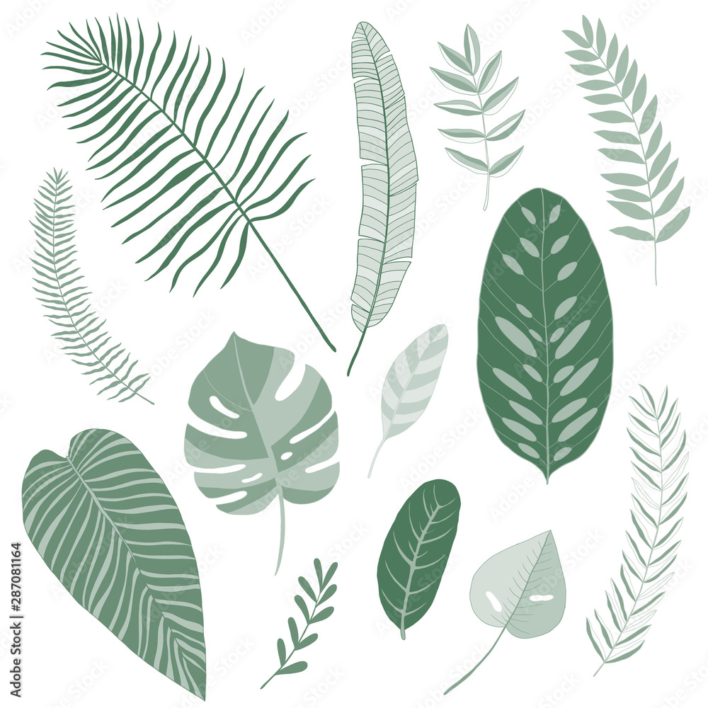 tropical leaves set, vector flat design
