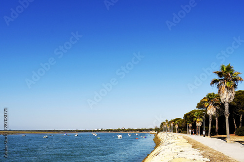 Fishing boats on the coast of the Bay of Puerto Real in Cadiz. Andalusia Spain. Europe. August 14  2019