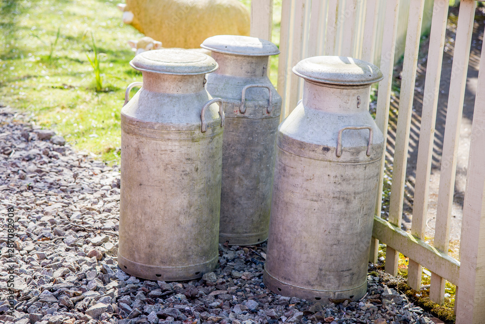 Old traditional milk cans