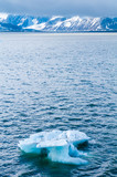 An icebergs floating in a fjord in the Arctic Ocean, Hornsund, Norway