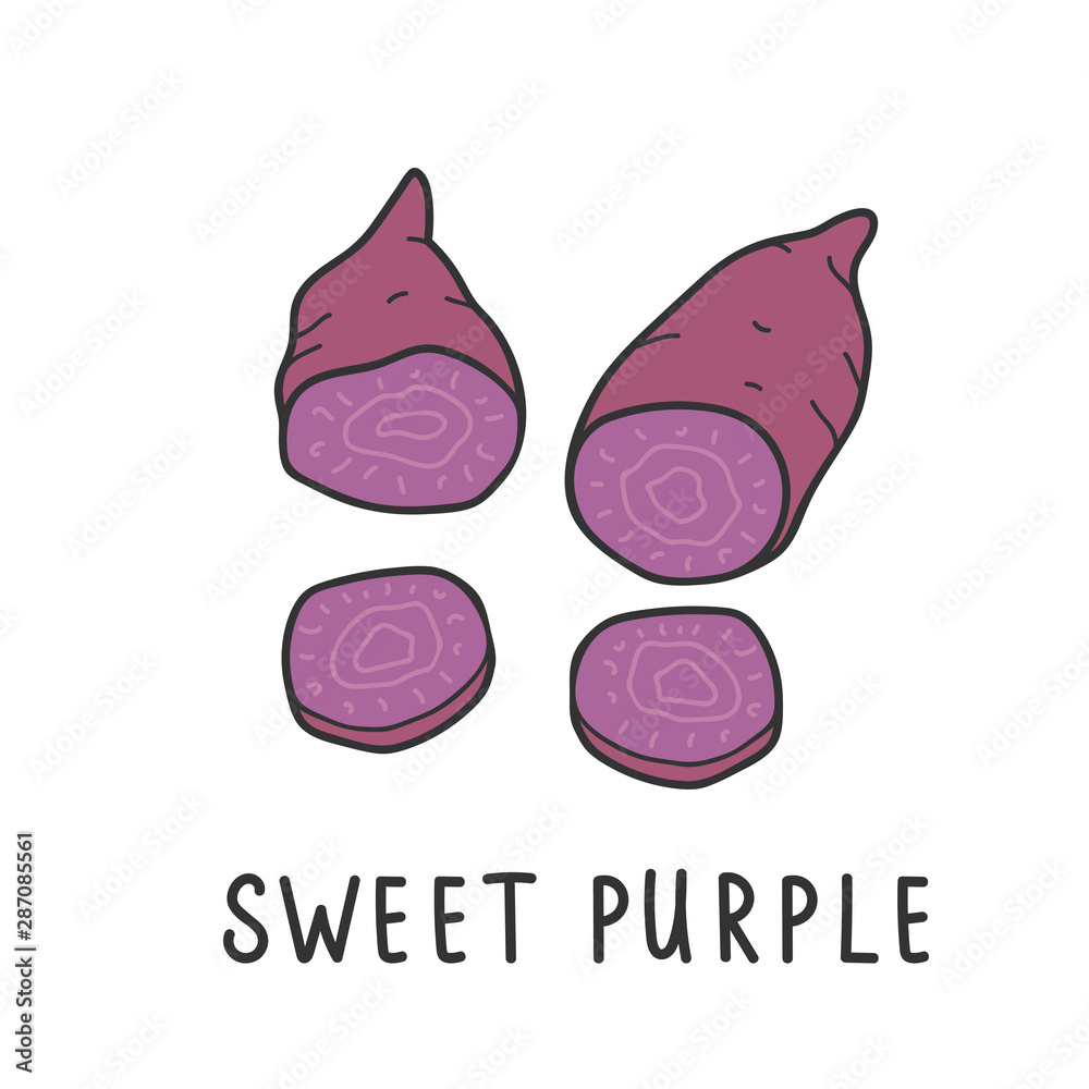 Sweet purple yam kind of potato. Vector illustration isolated on white