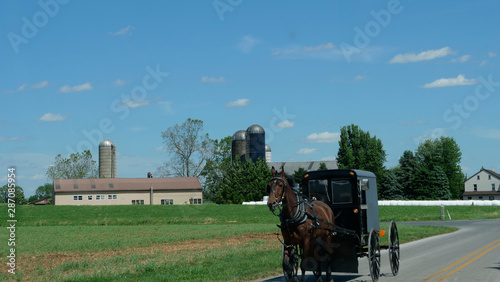 View of an Amish Horse and Buggy Going down the Road