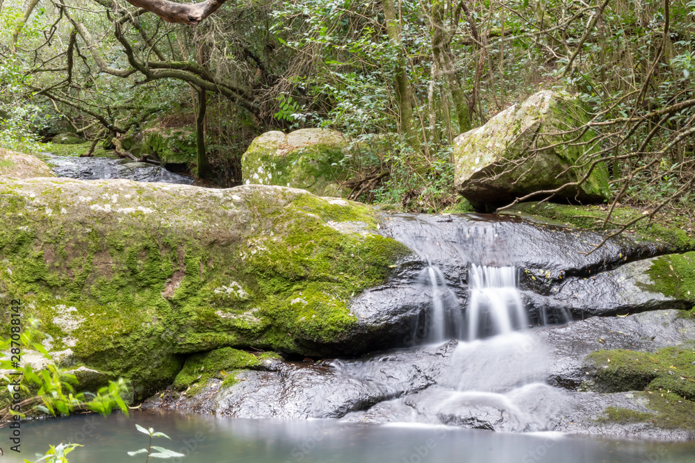 walking through the indigenous mountain, walk and excellent exercise in nature