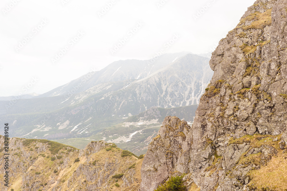 Fototapeta premium Rock Peak in the mountains, Tatra Mountains in Summer